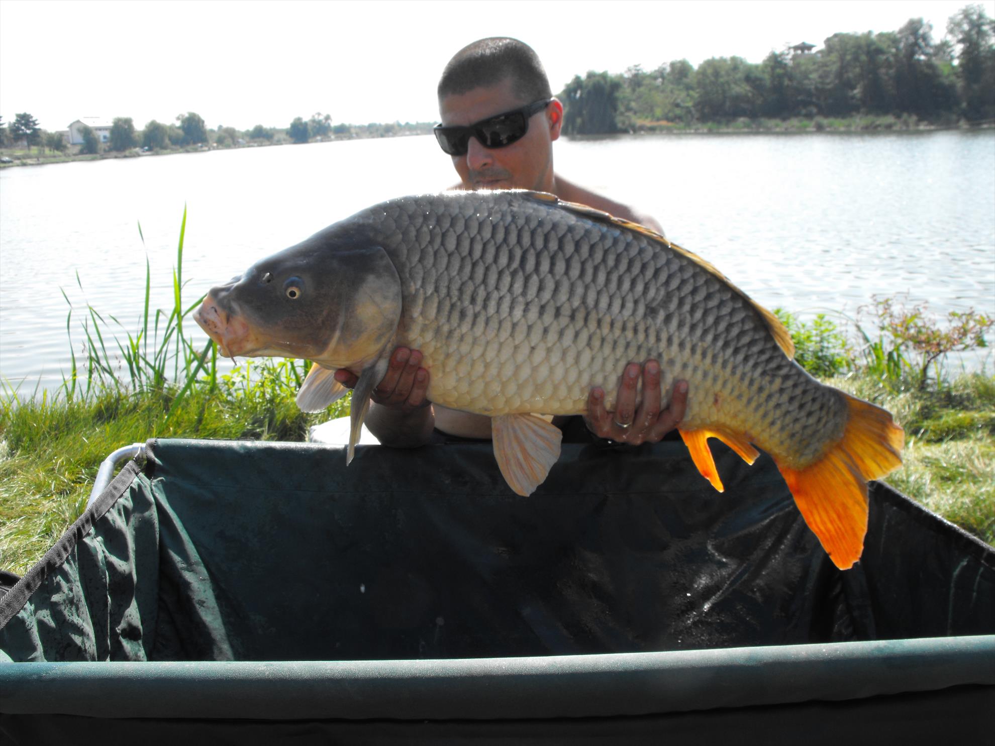 Hermes Peris 19 - 20 septembrie 2014 - dscf1014.JPG